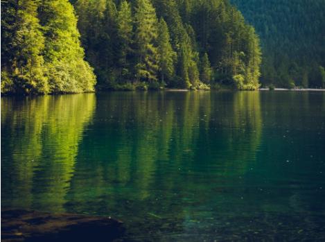 食品工業廢水處理造紙工業廢水處理方法有哪些